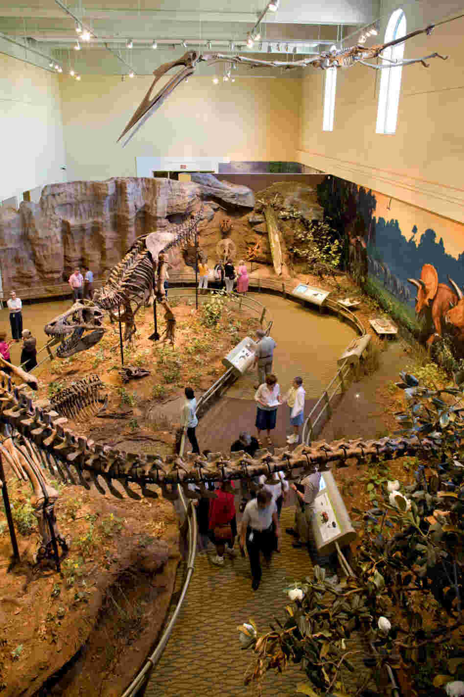 The Cretaceous area in the Carnegie Museum of Natural History