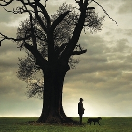 Man In The Woods
