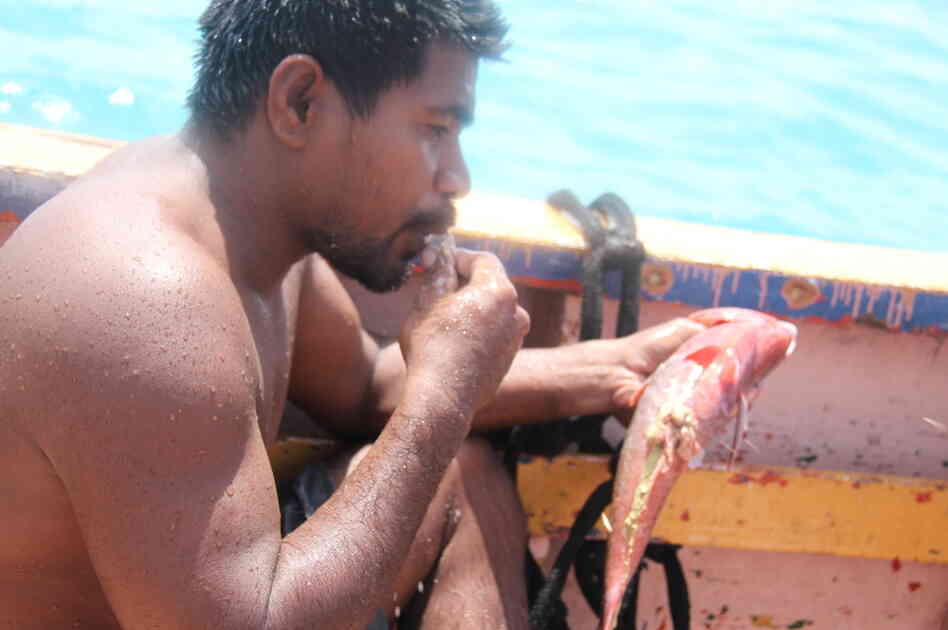 man catches fish man catches fish