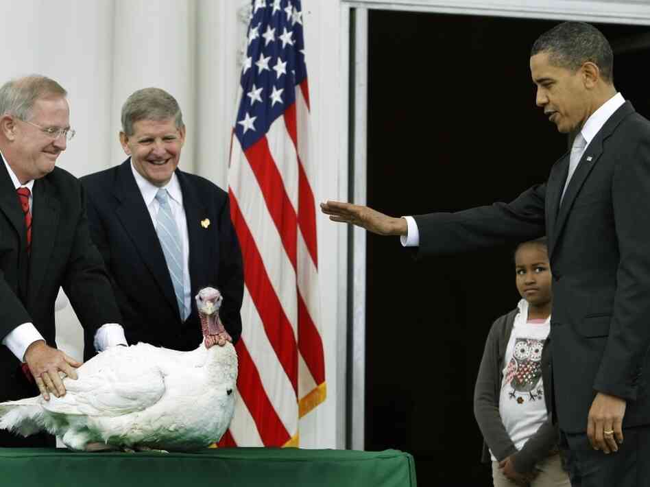 Obama and pardoned turkey Obama and pardoned turkey