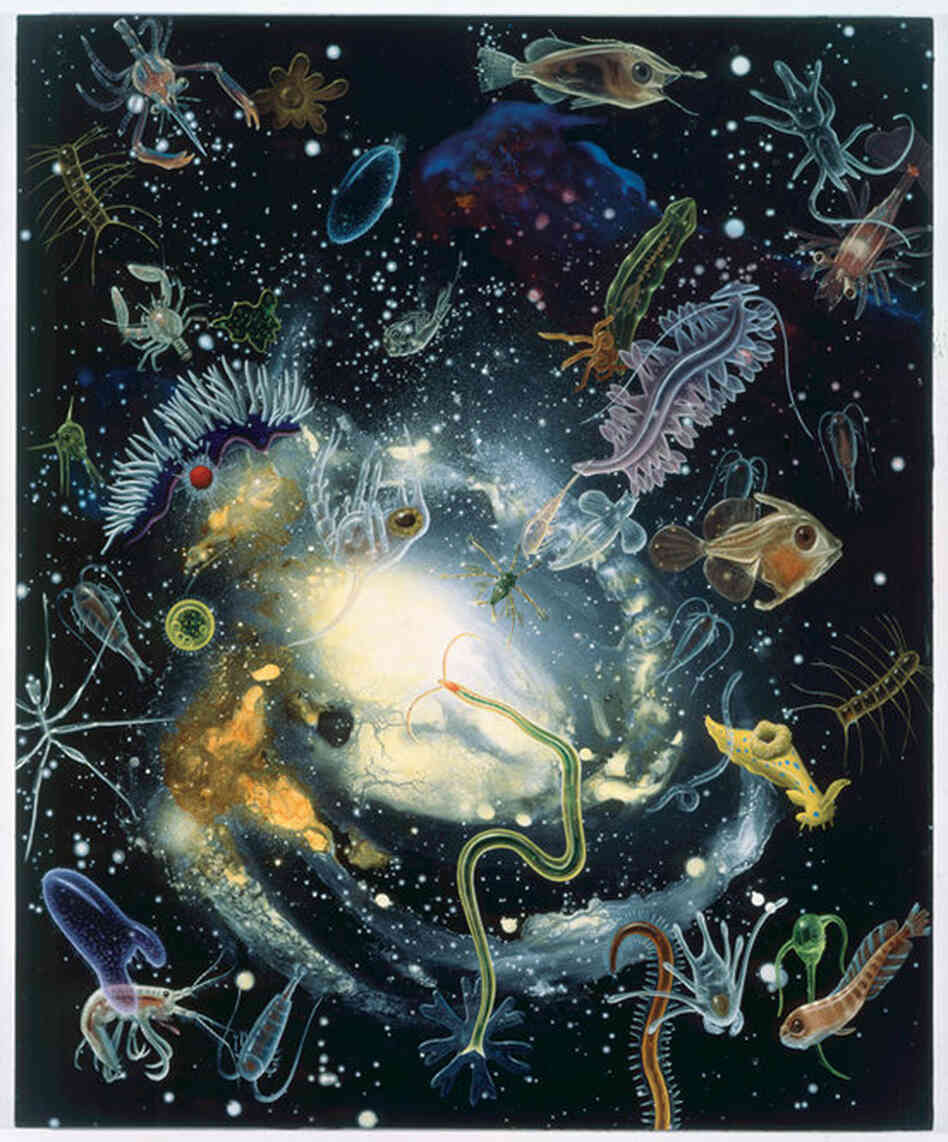 Biosphere Hydrographer's Canyon, 1994