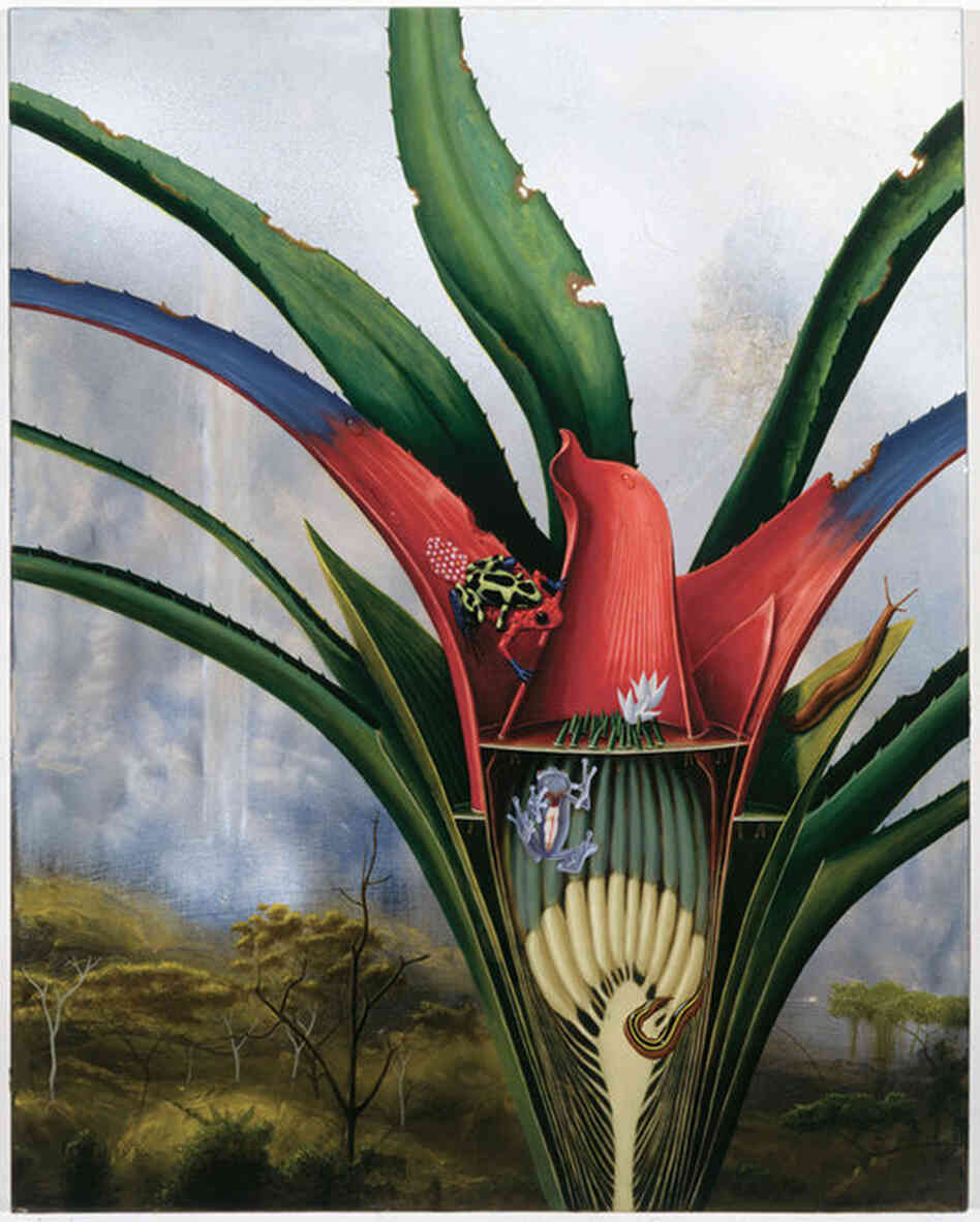 Bromeliad: Kaieteur Falls, 1994