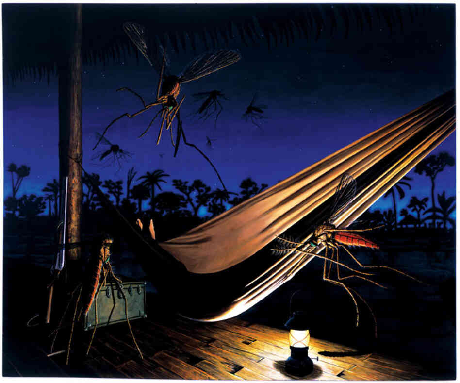 The Hammock, 2000