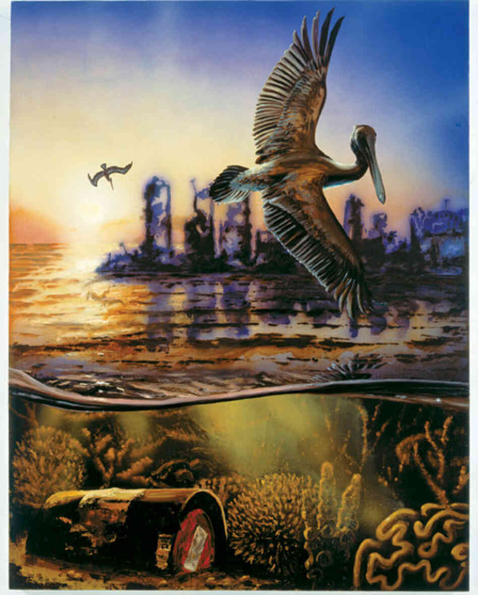 The Pelican, 2006