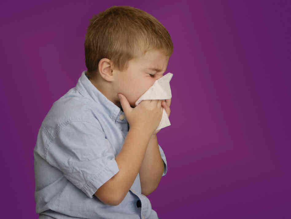 kid blowing nose kid blowing nose