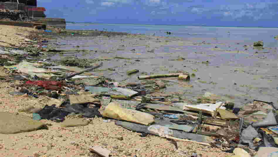 The lagoon at low tide. The lagoon at low tide.