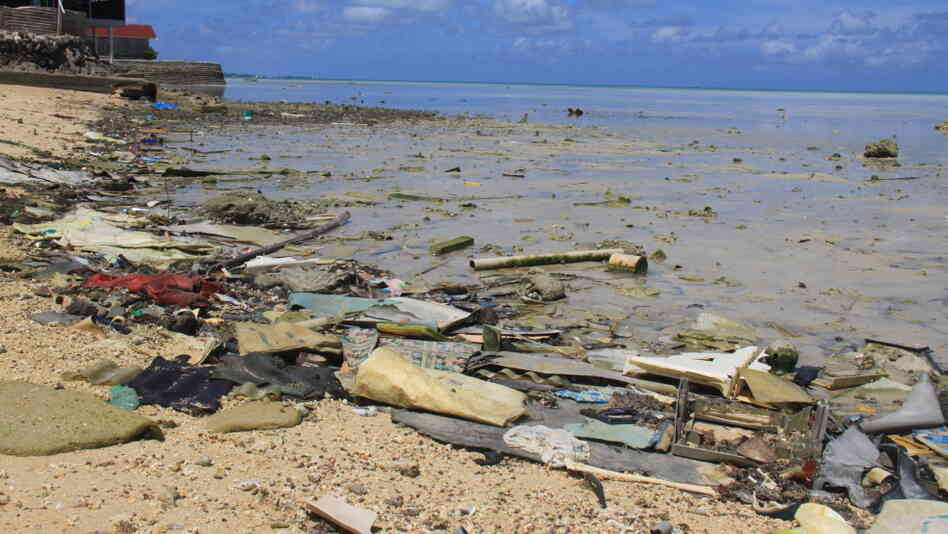 The lagoon at low tide. The lagoon at low tide.