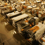 The gymnasium at San Quentin State Prison is filled with inmates' bunks because of overcrowding.