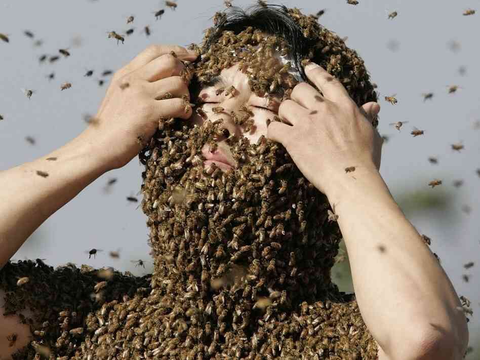 A man covered in bees. A man covered in bees.