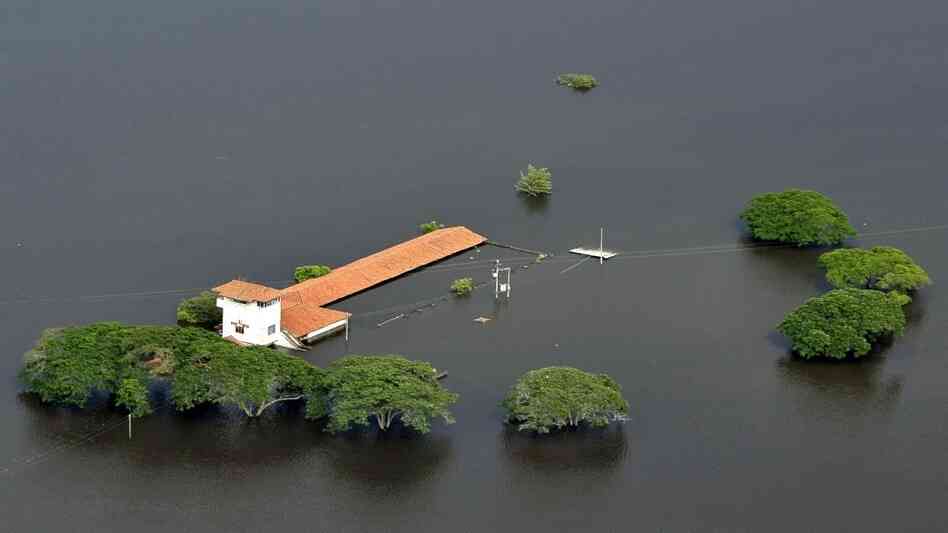 Aerial view of a flooded farm in Colombia. Aerial view of a flooded farm in Colombia.