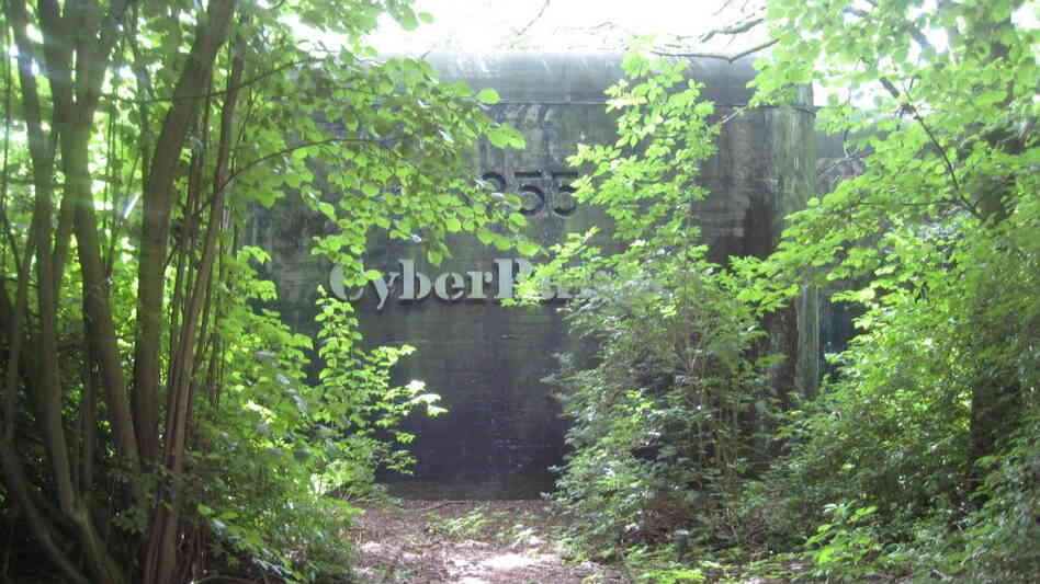 CyberBunker