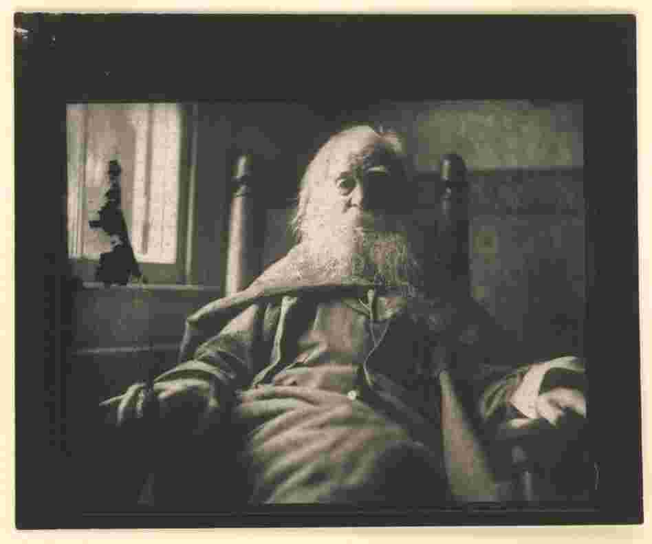 "Hike/Seek" begins in the 1880s with Walt Whitman — before the legal codification of "homosexual." Whitman spent the days before and after the Civil War with his lover, Peter Doyle, a Confederate deserter. Walt Whitman, 1891 