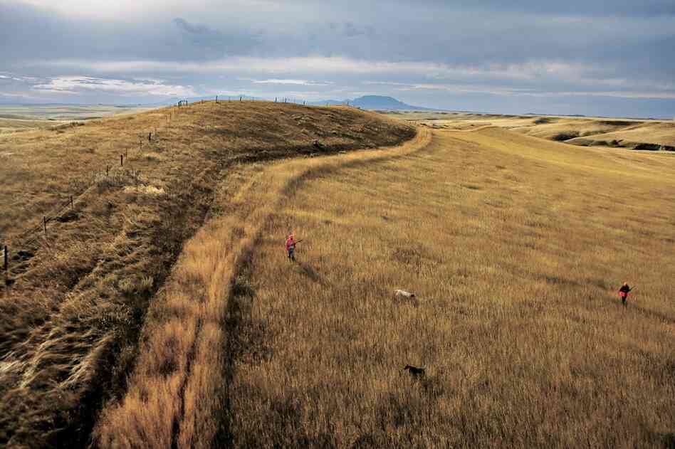 Bird hunters, Coffee Creek, Montana, 2006