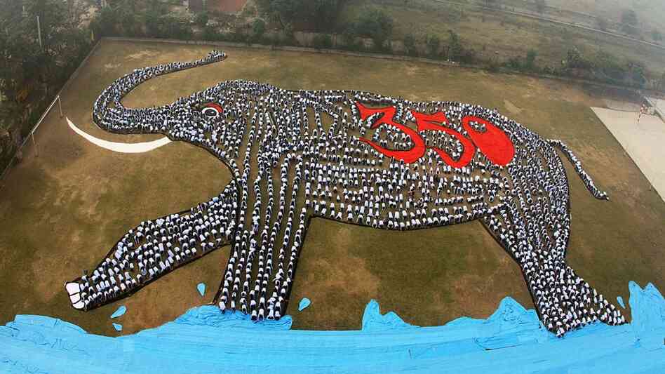 Three thousand students and teachers at the Ryan International School in New Delhi — along with volunteers from the Indian Youth Climate Network — joined aerial artist Daniel Dancer to form an enormous elephant with rising seas, asking world leaders to notice the "elephant in the room," i.e. climate change. 