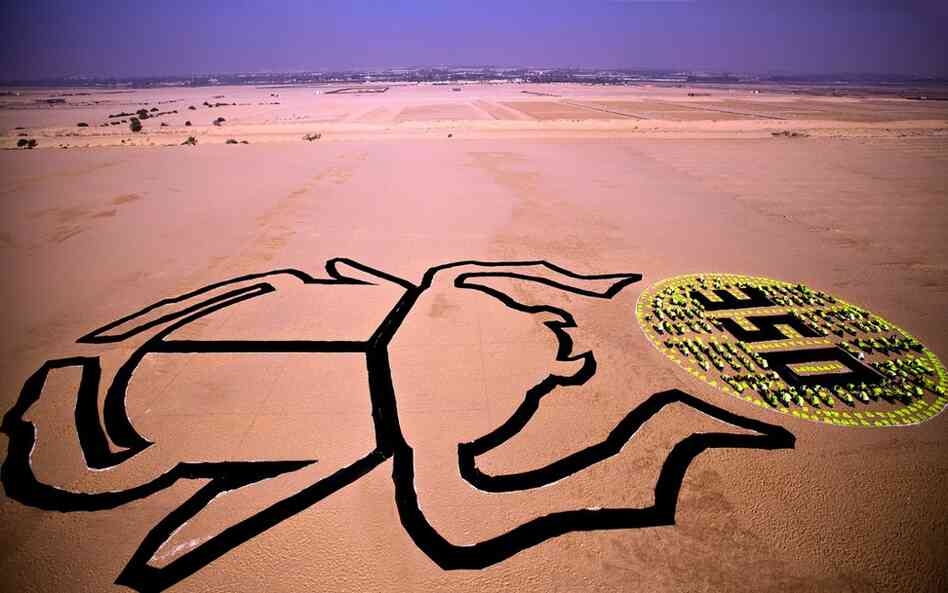In Cairo, Egypt, hundreds of students formed the image of a traditional scarab beetle, a traditional symbol of rebirth and regeneration. The demonstration is a reminder of the integral part of the sun in Egyptian history, and a call for re-examining our modern relationship to this source of clean energy. 