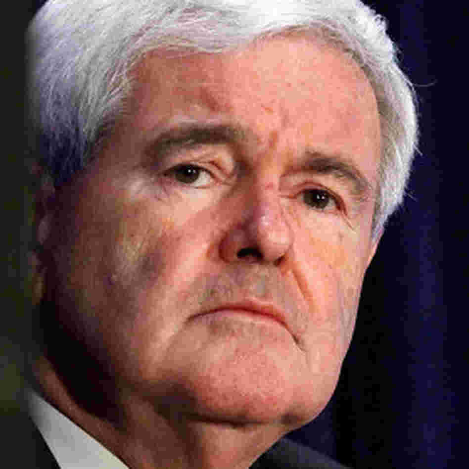 Former Speaker of the House Newt Gingrich. Former Speaker of the House Newt Gingrich.