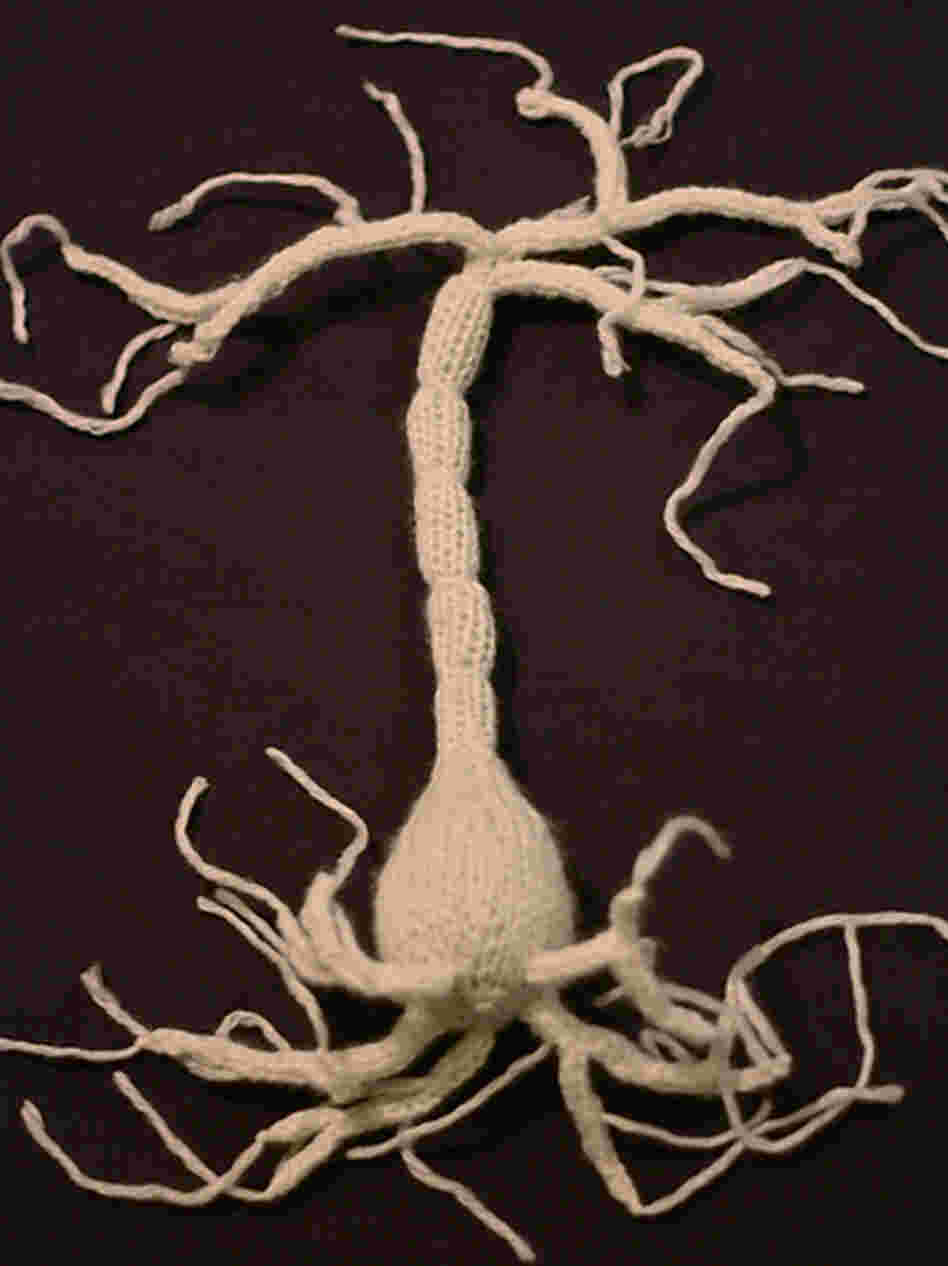 A hand knit neuron. A hand knit neuron.