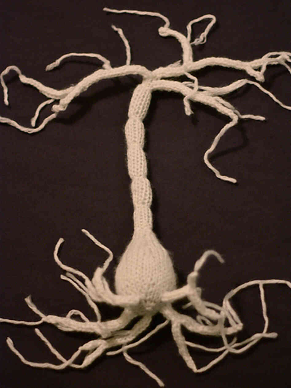 A hand knit neuron. A hand knit neuron.