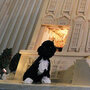A Gingerbread White House. Jewel Samad/AFP/Getty Images