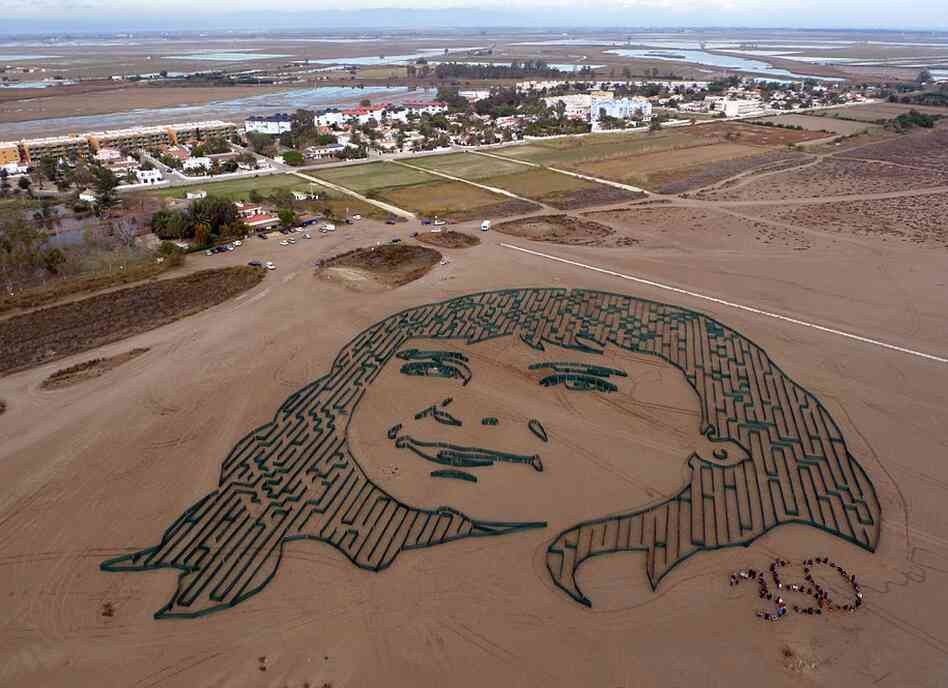 Citizens from the Delta del Ebro region joined renowned urban-artist Jorge Rodriguez-Gerada to form a giant representation of the face of a young girl who wishes to see the Delta survive the threat of climate change.