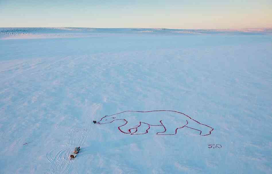 Artist Bjargey XX created a "Red Polar Bear" with organic food dye on the Langjokull Glacier in Iceland. 