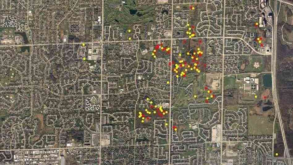 A map representing the locations of Big Mama and Number 115.