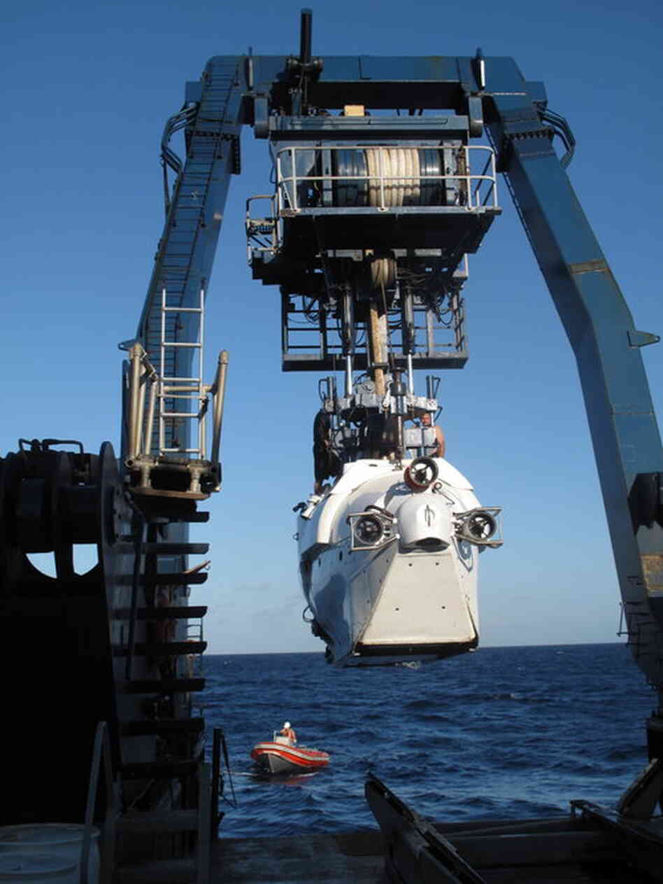 The Alvin submarine is launched earlier this month from the research vessel Atlantis, a ship operated by the Woods Hole Oceanographic Institution. Scientists on the expedition were exploring unusual biological ecosystems in the Gulf of Mexico and are trying to understand the effects of the BP oil spill.