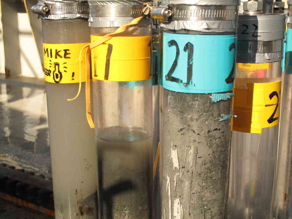 Many of the core samples studied so far have a dark top layer that scientists say is a mixture of oil and oil that has been digested by marine life and bacteria.