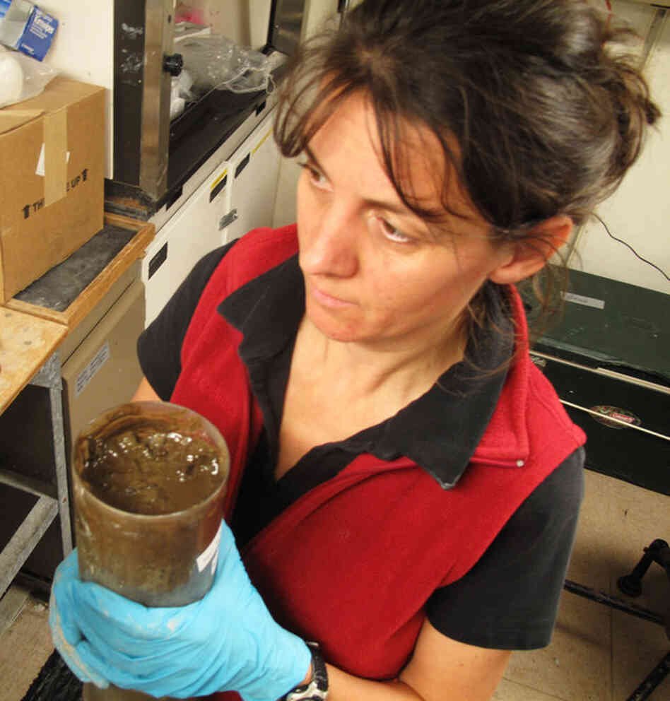 Verena Heuer, a researcher at the University of Bremen in Germany, holds a core sample that was collected about two miles from the Macondo well. A thick layer of brown coats the top of the usually gray mud.