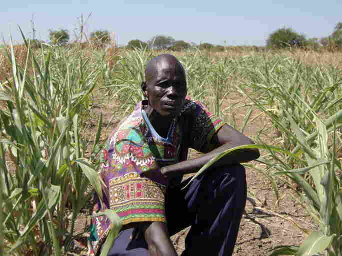 Mangith Alei lost his sorghum crop and thatched hut to troops two years ago. Mangith Alei lost his sorghum crop and thatched hut to troops two years ago.
