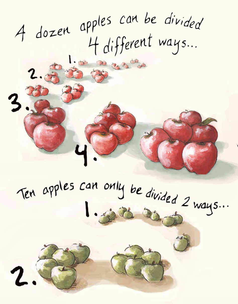 A dozen apples. A dozen apples.