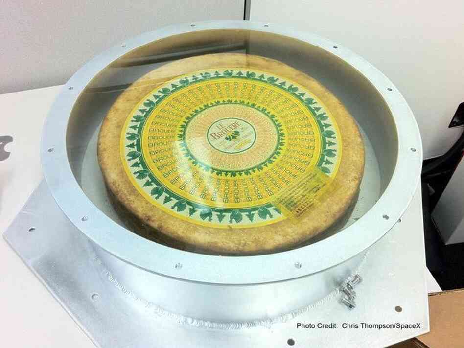 This cheese flew about the SpaceX rocket into low-earth orbit. This cheese flew about the SpaceX rocket into low-earth orbit.