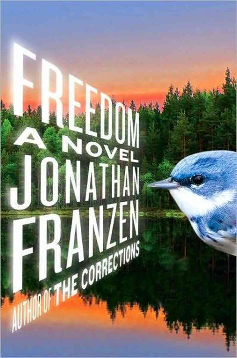 The cover of Freedom The cover of Freedom