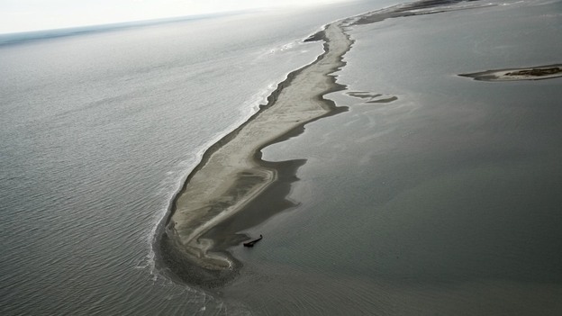 Sand barriers are seen next to Louisiana's Chandeleur Islands, in the Gulf of Mexico, on Wednesday. A presidential commission says the berms, which were erected to protect the coastline, were a waste of money. Sand barriers are seen next to Louisiana's Chandeleur Islands, in the Gulf of Mexico, on Wednesday. A presidential commission says the berms, which were erected to protect the coastline, were a waste of money.