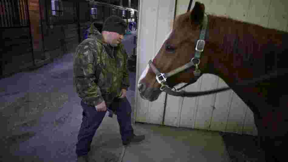 Bobby McKinney, 29, prepares to groom a horse at the Chastain Horse Park in Atlanta.
