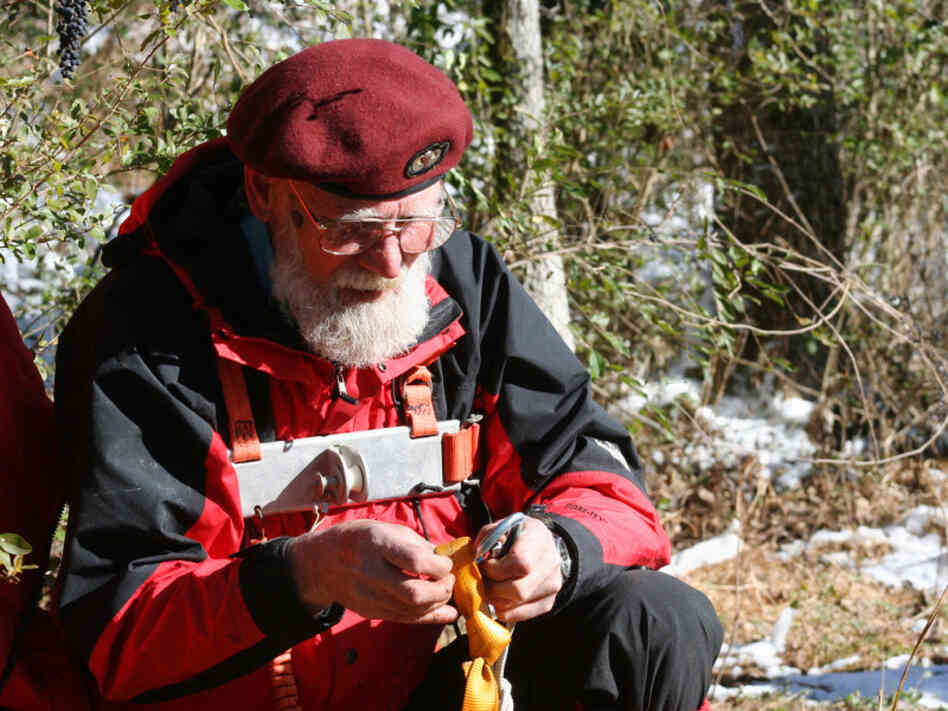 Bill Anderson readies his climbing gear before harvesting a sprig of mistletoe from the top of a tree. Anderson'sold-fashioned mistletoe harvesting is steeped in tradition.