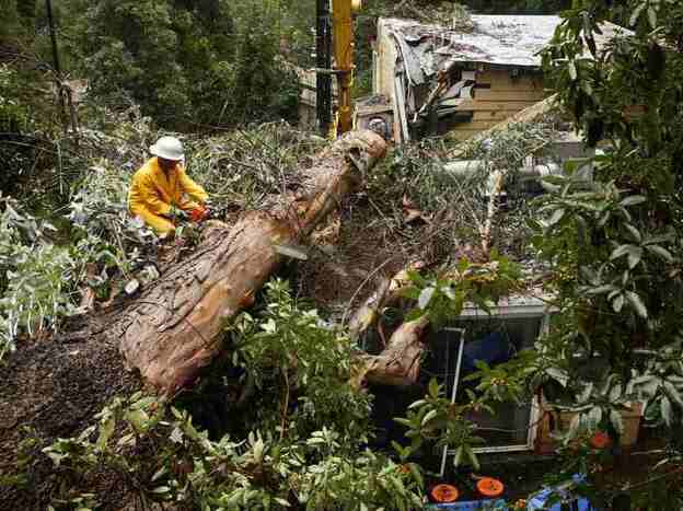 Los Angeles, Dec. 21: Cleaning up after a tree fell on a home.