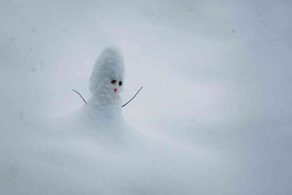 Baby conehead lost in the snow! 