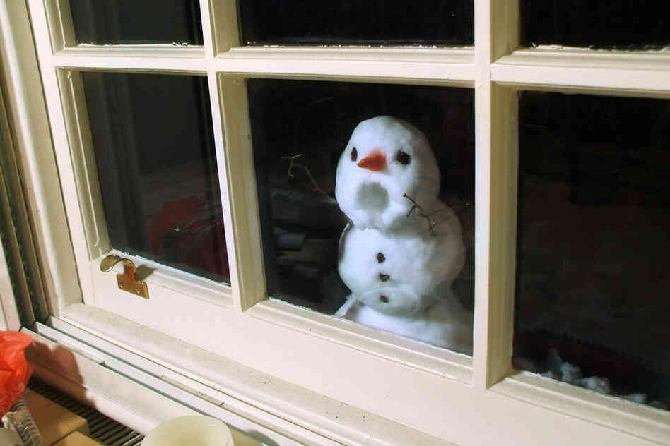 The little guy wants to come inside. 