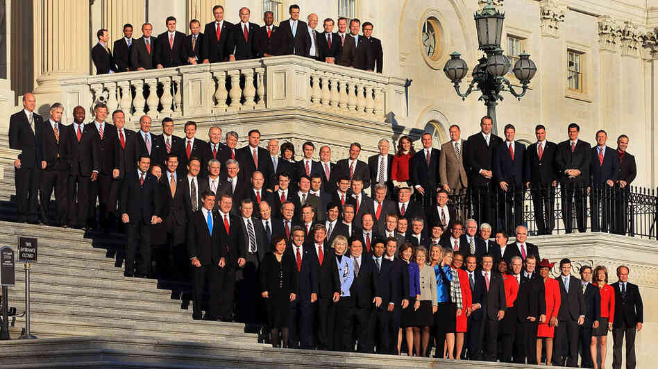 The freshmen members of the upcoming 112th Congress pose for a class photo on the steps of the U.S. Capitol. The group includes a dentist, a nurse and a pizzeria owner, among other professions. The freshmen members of the upcoming 112th Congress pose for a class photo on the steps of the U.S. Capitol. The group includes a dentist, a nurse and a pizzeria owner, among other professions.