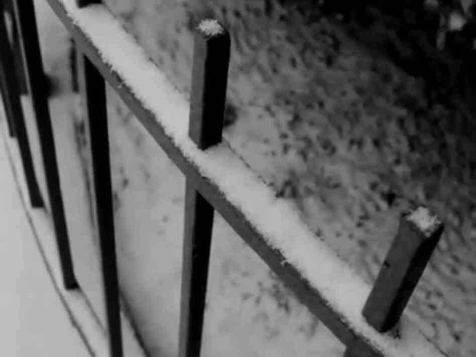 An image from the gorgeous YouTube movie that Roger Ebert loved.