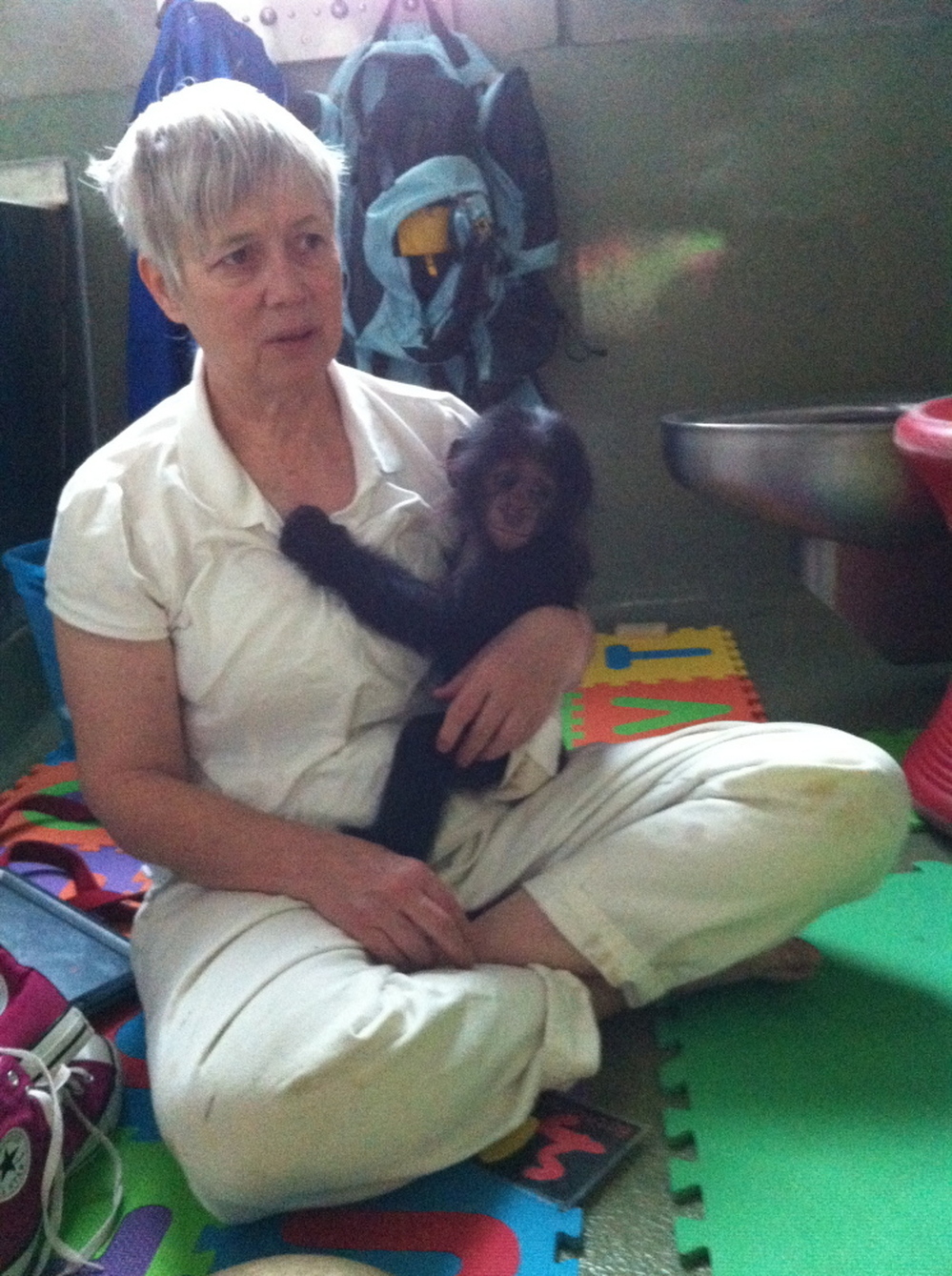 Hanging out with Sue and Teco at the Great Ape Trust. 