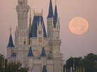 A full moon over Cinderella Castle at Disney World on December 21, 2010 in Lake Buena Vista, Florida. A full moon over Cinderella Castle at Disney World on December 21, 2010 in Lake Buena Vista, Florida.