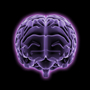 Today's human brain is about 10 percent smaller than the Cro-Magnon brain from more than 20,000 years ago.