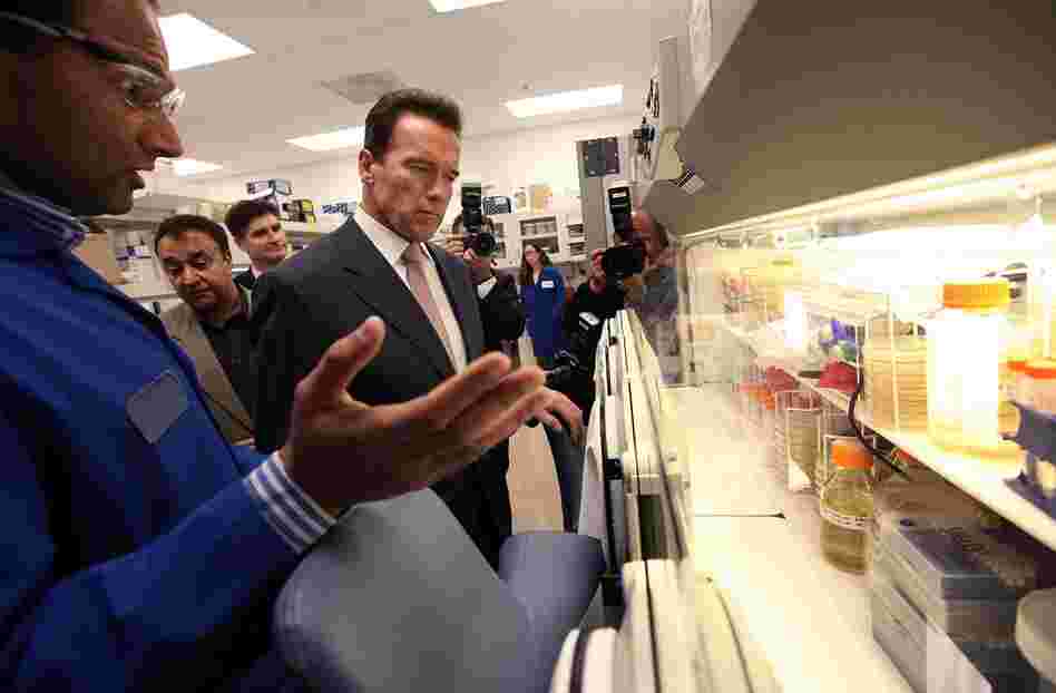 Schwarzenegger tours the Cobalt Biofuels laboratory Jan. 12 in Mountain View. In contrast to his budget failings, the governor is likely to be remembered positively for his environmental measures. 