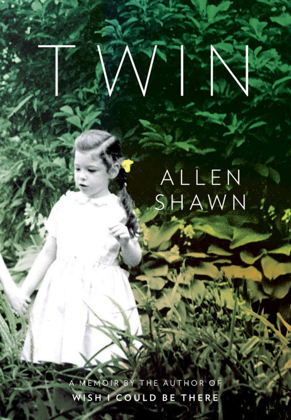 Twin by Allen Shawn Twin by Allen Shawn