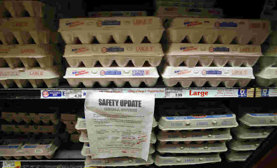 A salmonella outbreak sickened thousands this summer, pushing Congress to get serious about food safety.
