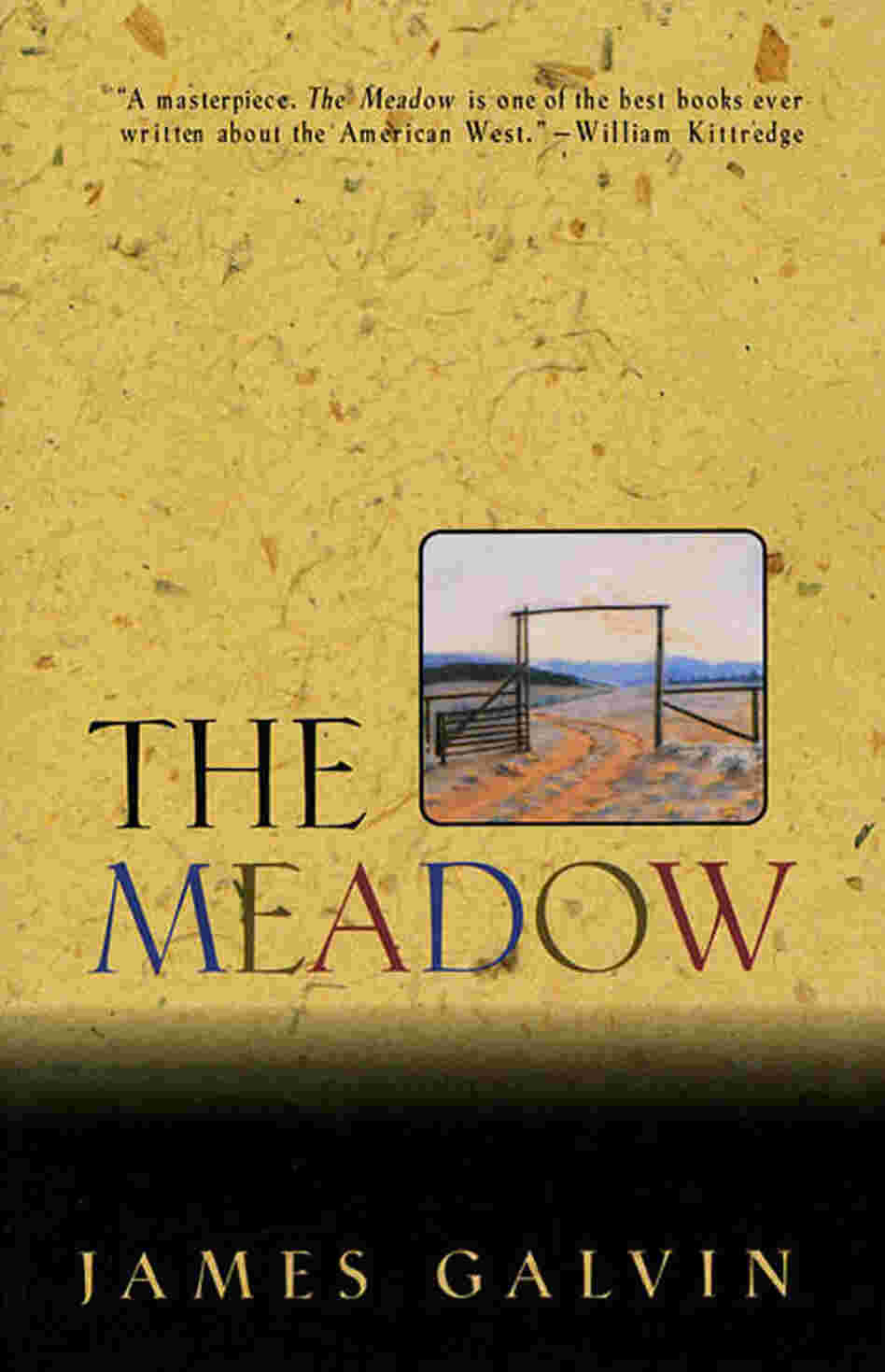The Meadow The Meadow