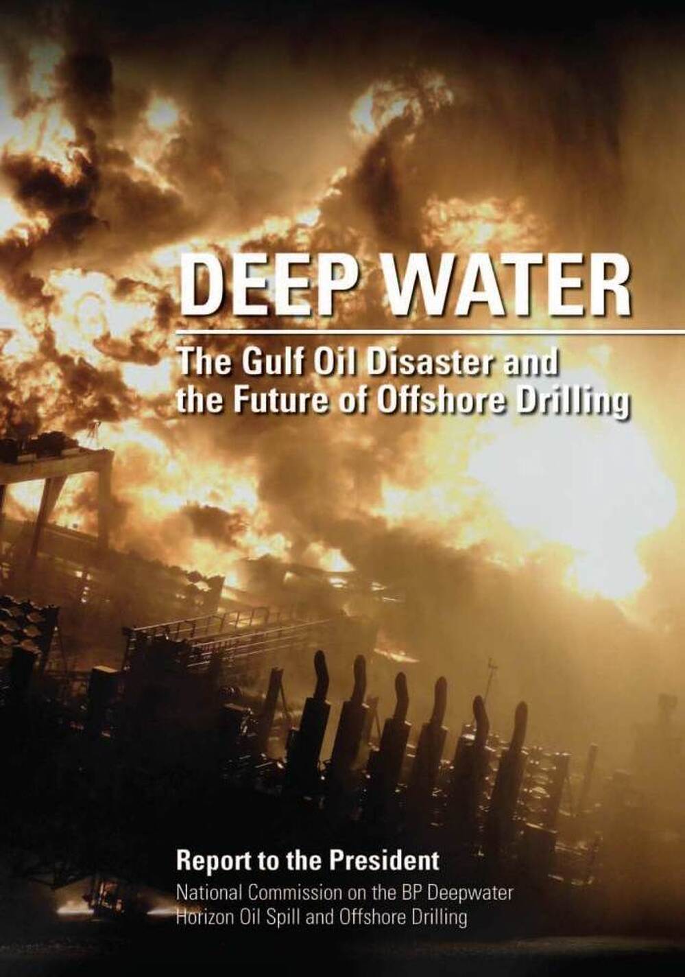 Deep Water: The Gulf Oil Disaster and the Future of Offshore Drilling report cover