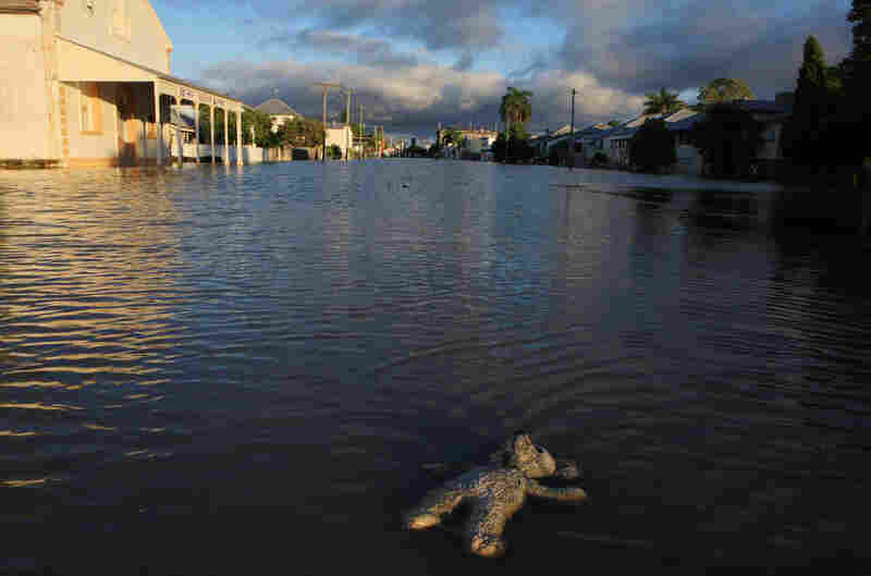Brisbane City Council Flooded Streets Brisbane City Council Flooded Streets